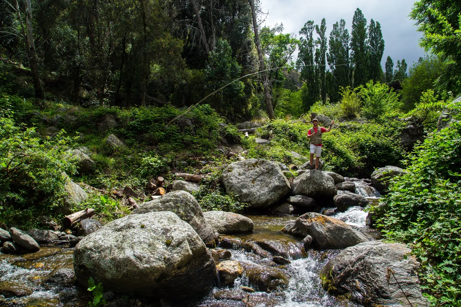 Un pescador con la caña en el arroyo, entre rocas grandes y álamos.