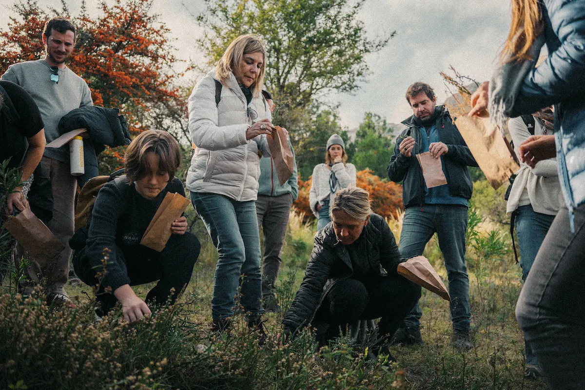 Un grupo agachado recolectando hierbas en el campo, con canastos y bolsas de papel.